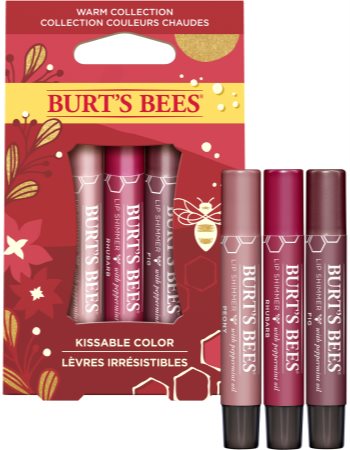 Burt's Bees Festive confezione regalo (per le labbra)