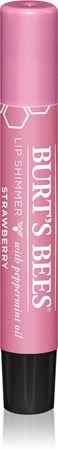 Burt’s Bees Lip Shimmer lip gloss