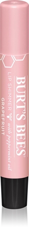 Burt’s Bees Lip Shimmer lip gloss