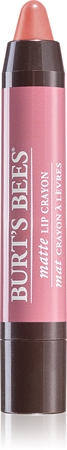 Burt’s Bees Lip Crayon Stick Lipstick with Matte Effect