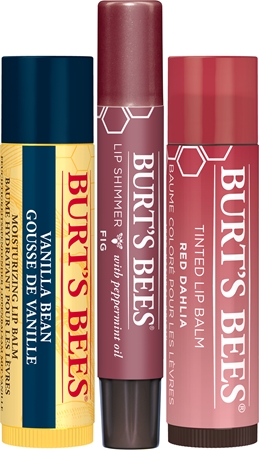 Burt’s Bees Festive Mistletoe Kiss Dāvanu komplekts lūpām