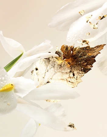 BVLGARI Splendida Bvlgari Patchouli Tentation parfumska voda za ženske