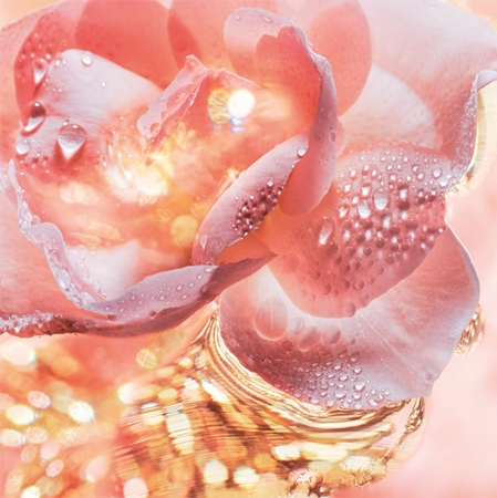 BVLGARI Rose Goldea Eau de Parfum eau de parfum for women