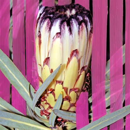 BYREDO Inflorescence Eau de Parfum para mulheres
