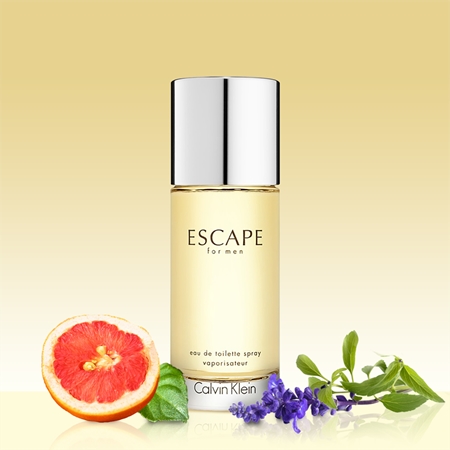 Calvin Klein Escape for Men Eau de Toilette pour homme
