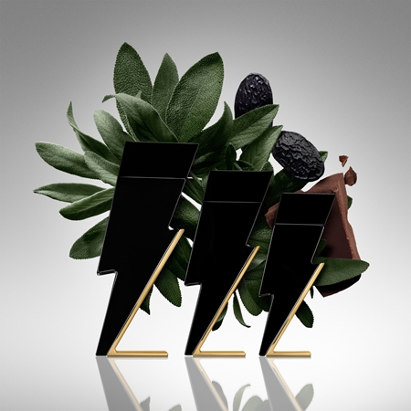 CAROLINA HERRERA Bad Boy Eau de Toilette pentru bărbați