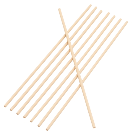 Castelbel Sticks spare diffuser reeds