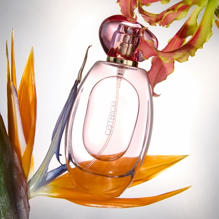 Catrice The Summer Edit scented mist for hair and body fragrance C01 L'Eau So Sunkissed!