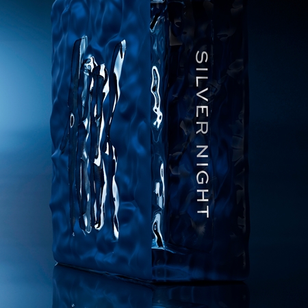 Cerruti 1881 Silver Night Parfüümvesi meestele
