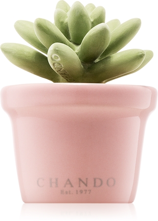 Chando Blooming Midnight Crystal difusor de aromas con esencia I.