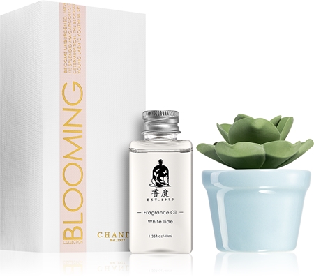 Chando Blooming White Tide aróma difuzér s náplňou