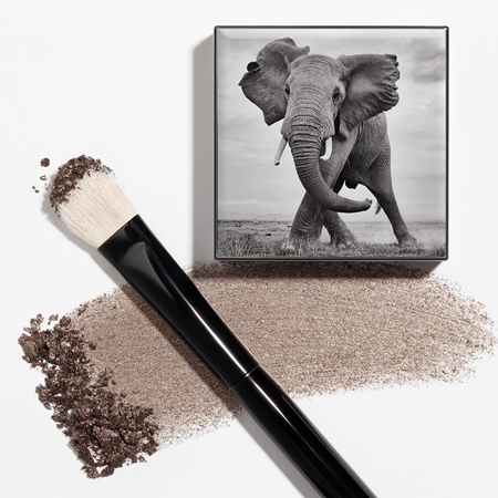 Chantecaille Shade and Sweep Eye Brush Flat Eyeshadow Brush