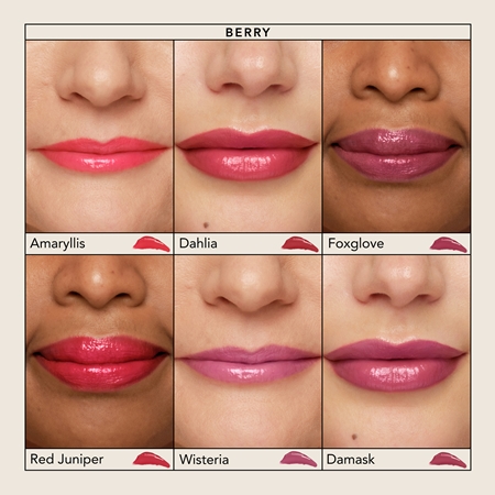 Chantecaille Lip Chic Moisturising Glossy Lipstick