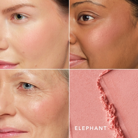 Chantecaille Cheek Shades rumenilo