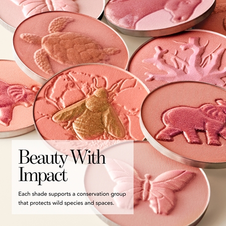 Chantecaille Cheek Shades rumenilo