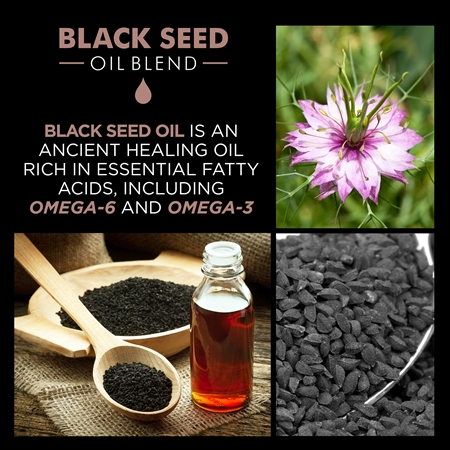 CHI Luxury Black Seed Oil Gentle Cleansing Shampoo sanftes Reinigungsshampoo