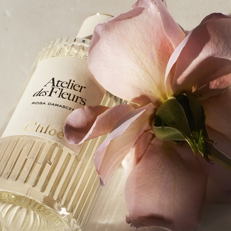 Chloé Atelier des Fleurs Rosa Damascena Eau de Parfum für Damen