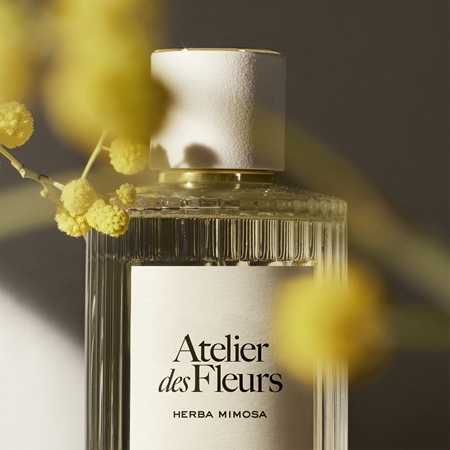 Chloé Atelier des Fleurs Herba Mimosa parfémovaná voda pro ženy