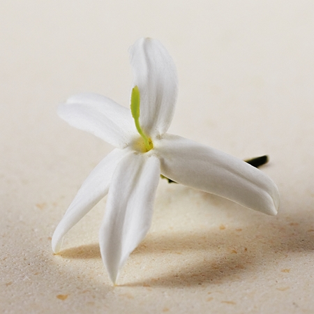 Chloé Atelier des Fleurs Jasminum Sambac woda perfumowana dla kobiet