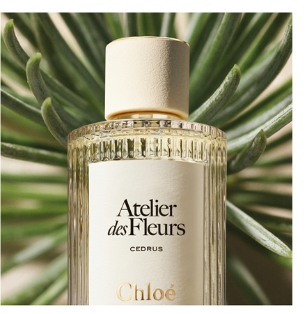 Chloé Atelier des Fleurs Cedrus Eau de Parfum für Damen
