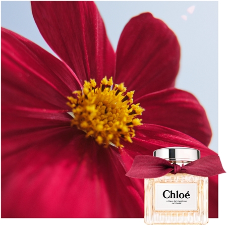Chloé L'Eau de Parfum Intense Eau de Parfum intense täytettävä naisille