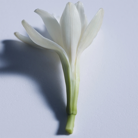 Chloé Atelier des Fleurs Tubéreuse Lazuli parfémovaná voda pro ženy