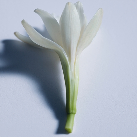 Chloé Atelier des Fleurs Tubéreuse Lazuli Eau de Parfum für Damen