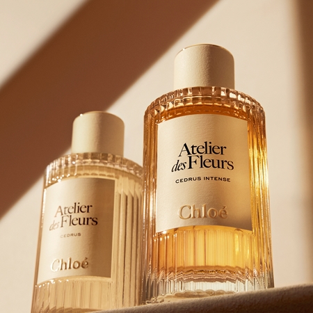 Chloé Atelier des Fleurs Cedrus Intense Eau de Parfum für Damen