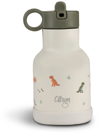 Luxogo Wasserflasche - Edelstahl 500ml Mit Katzen Design