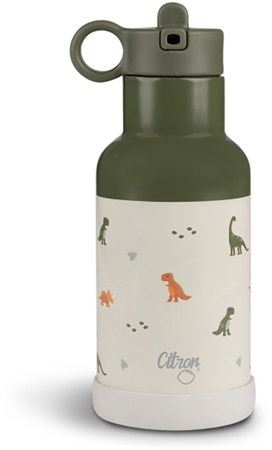 Citron Water Bottle 350 ml (Stainless Steel) Wasserflasche aus Edelstahl