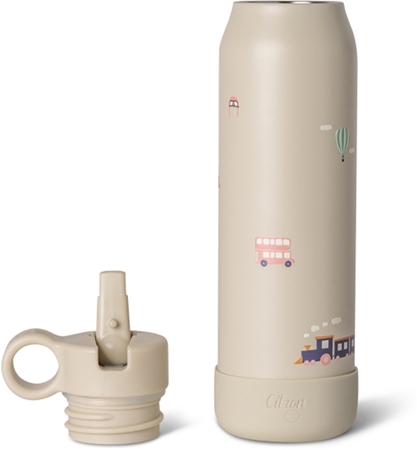 Citron Water Bottle 350 ml (Stainless Steel) stainless steel water bottle
