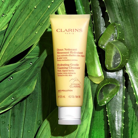 Clarins Cleansing Hydrating Gentle Foaming Cleanser čistiaci penivý krém hydratačný
