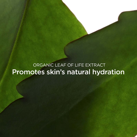 Clarins Fresh Scrub Refreshing Cream Scrub gommage crème pour nourrir la peau et préserver son hydratation naturelle