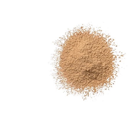 Clinique Blended Face Powder powder