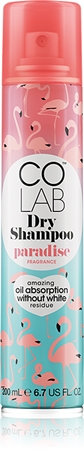 DIKSON Trockenshampoo Für Alle Haartypen – 300 Ml Haarlaminier-Shampoo