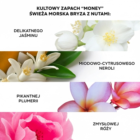 Color WOW Money Laundering Hydrating Shampoo szampon nawilżający
