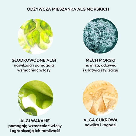 Color WOW Money Laundering Hydrating Shampoo szampon nawilżający