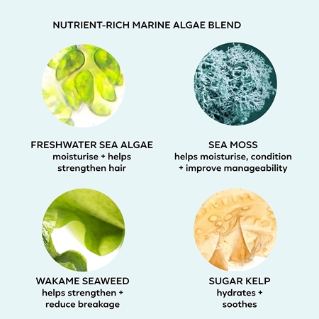 Color WOW Money Laundering Glossing Conditioner feuchtigkeitsspendender Conditioner für glänzendes und geschmeidiges Haar