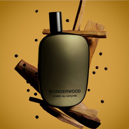 Comme des Garçons Wonderwood Eau de Parfum for men | notino.ie