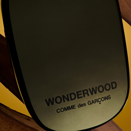 Comme des Garçons Wonderwood parfémovaná voda pro muže