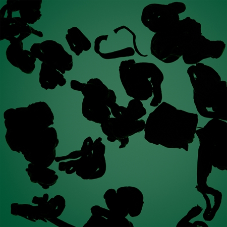 Comme des Garçons Amazingreen Eau de Parfum unisex