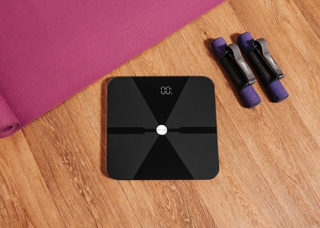 Concept Perfect Health VO5100 personal scales