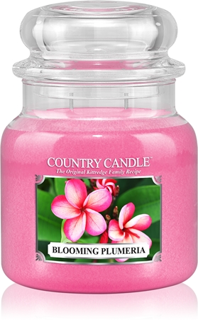 Country Candle Blooming Plumeria bougie parfumée