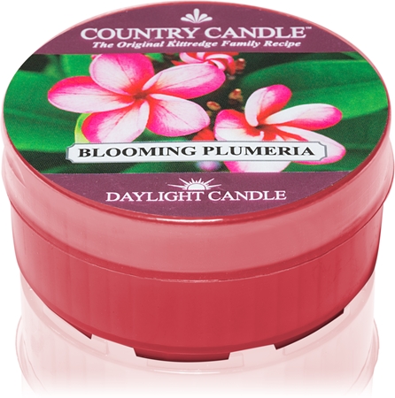 Country Candle Blooming Plumeria duft-teelicht