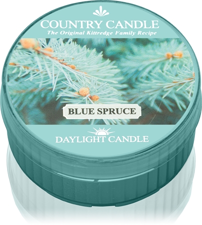 Country Candle Blue Spruce čajna svijeća