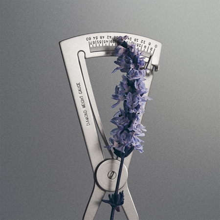 Creed Iris Debonair parfumovaná voda unisex