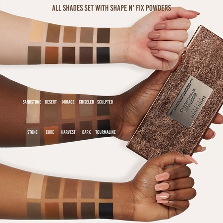 Danessa Myricks Beauty Groundwork Multifunctional Face Palette for the face