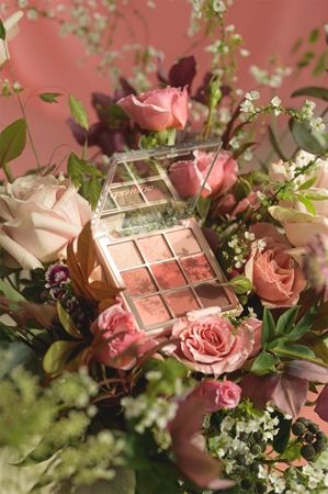 Dasique Eye Shadow Pallete eyeshadow palette