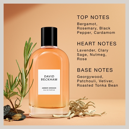 David Beckham Amber Breeze Eau de Parfum pentru bărbați