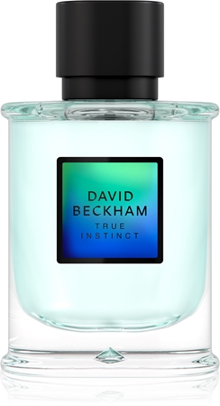 David Beckham True Instinct Parfumuotas vanduo vyrams
